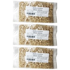 AŞURELİK BUĞDAY DOĞAL - 100 GR PAKET- WHEAT - WEIZEN HALAL