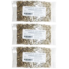 AYÇEKİRDEĞİ İÇİ DOĞAL - 100 GR PAKET - SUNFLOWER SEED - SONNENBLUMENKERNE -  HALAL